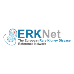 Erknet logo